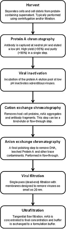 Protein Purification Chart