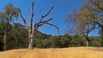 Rugged country in the Pleasanton Ridge area