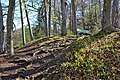 English: Forest hiking trail Deutsch: Waldpfad