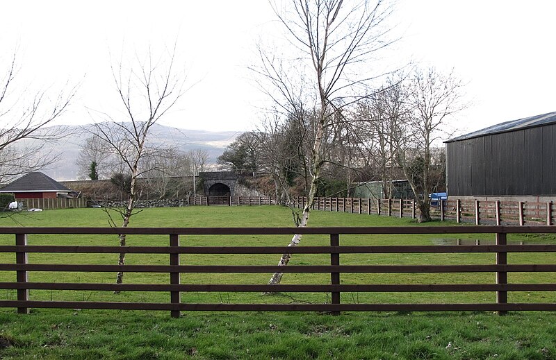 File:Private road leading from Low Road to houses on the north side of the railway line - geograph.org.uk - 4370873.jpg