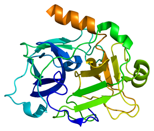 High molecular weight. Высокомолекулярный кининоген. Эмблема ИФР. Калликреины. ИФР 1 картинки для презентации.