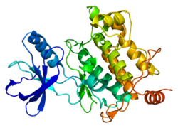 חלבון MAP3K7 PDB 2eva.png