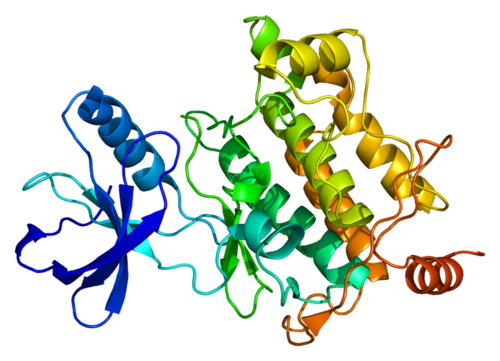 Protein MAP3K7 PDB 2eva.png