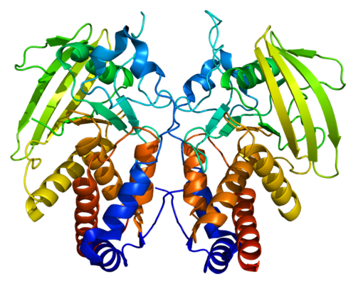 Protein data bank