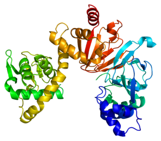 <span class="mw-page-title-main">RAPGEF4</span> Protein-coding gene in the species Homo sapiens