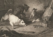 Rat-catching, 1823, by Edwin Landseer, engraving, published by Hurst, Robinson & Co. Rat catching etching E Landseer SLNSW.jpg