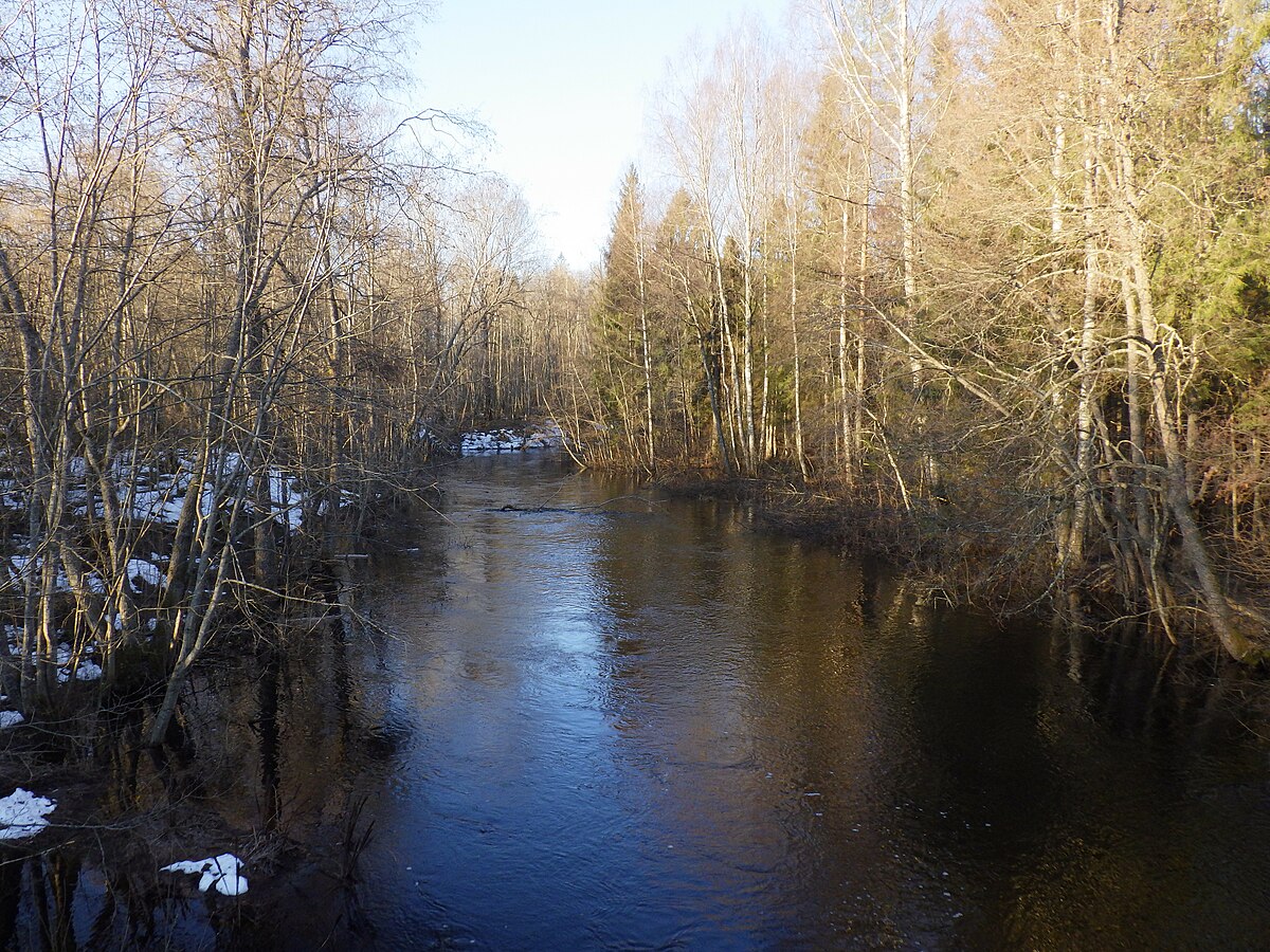 за мологой за рекой