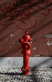 Image 916Red fire hydrant, Campo dos Mártires da Pátria, Lisbon, Portugal