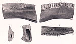 Regnosaurus jaw fragments. Regnosaurus.jpg