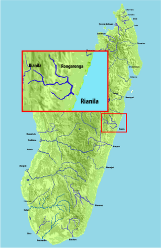<span class="mw-page-title-main">Rianila River</span> River in Madagascar