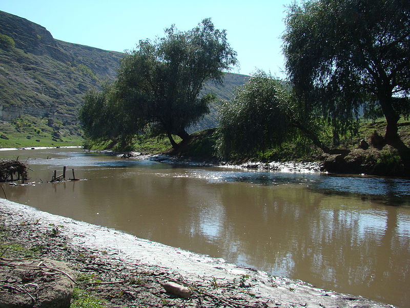 File:River Raut 003 (2075902200).jpg