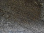 Inscripción rupestre de los edictos de Asoka y la escultura del elefante