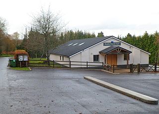 <span class="mw-page-title-main">Rudry</span> Village and community in Wales