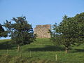 Ruine Anwil in Buhwil