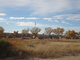 <span class="mw-page-title-main">Fort Selden</span> United States historic place