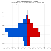 2011 Population Census, Karma Kagyu Lineage Diamond Way Buddhism, Age Structure Scitani obyvatelstva 2011, Buddhismus Diamantove cesty linie Karma Kagju, vekova struktura.svg