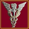 SANDF SAMHS Health Inspector chest insignia.jpg