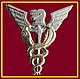 SANDF SAMHS Health Inspector chest insignia.jpg