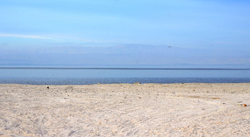 File:Salton Sea Beach (Jan 2014) 01.JPG