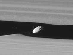 Saturn's moon Daphnis with wave in ring seen in 2017 by Cassini probe (raw, cropped).jpg