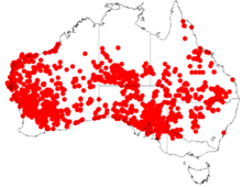 Scaevola spinescens DistMap68.png 