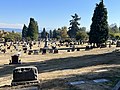 Lake View Cemetery