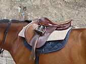 English saddle Selle1.jpg