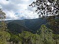 Miniatura per Serra de Picamena