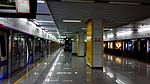 Shenzhen Metro Line 5 Linhai Sta Platform.jpg