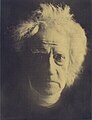 Sir John Herschel (1867) / print by A.L. Coburn, ca. 1915, from copy negative of original print platinum print, tinted stock, mechanically varnished 25.7 x 19.4 cm.