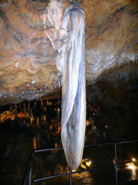 Sophienhöhle, Elefantenohr