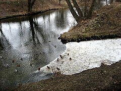 Confluent de la Svratka et de la Ponávka