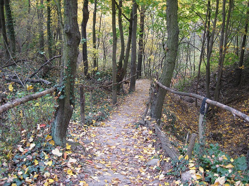 File:Sperenberg - Gipsbrüche - Bodengeopfad - panoramio.jpg