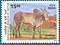 Stamp of India - 2000 - Colnect 161122 - Hallikar Zebu Bos primigenius indicus.jpeg