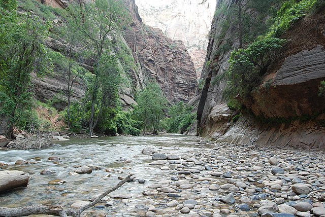 File:Start_of_Zion_Narrows_trail.jpg