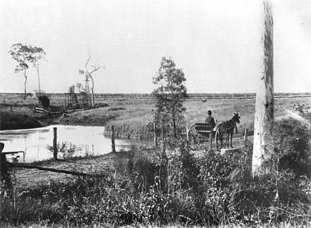 StateLibQld 2 395693 Dam and canefields, Oakwood Sugar Mill, Bundaberg, Queensland, 1909.jpg