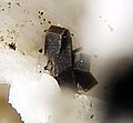 steacyite metallic Crystal
