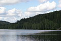 Steinbruvann, a lake in Oslo