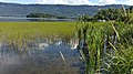 Steinsfjorden biotopverneområde Vik 2016-08-23 13.47.48.jpg