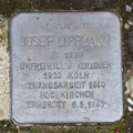 Stolperstein für Josef Lippmann (Breite Straße 18)