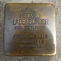 image=File:Stolperstein Michelstadt Braunstraße 14 Hedwig Ladenburger.jpg