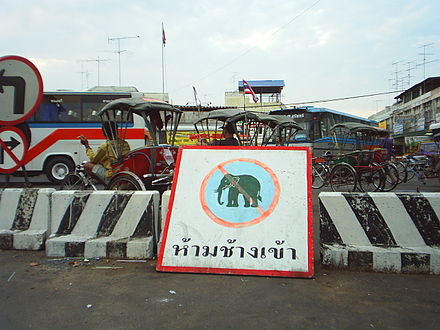 Animal-powered travel has no place in Thai cities