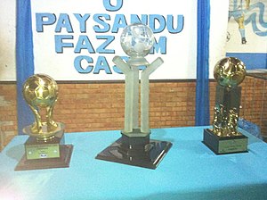 Paysandu Sport Club :: O Maior Campeão da Amazônia