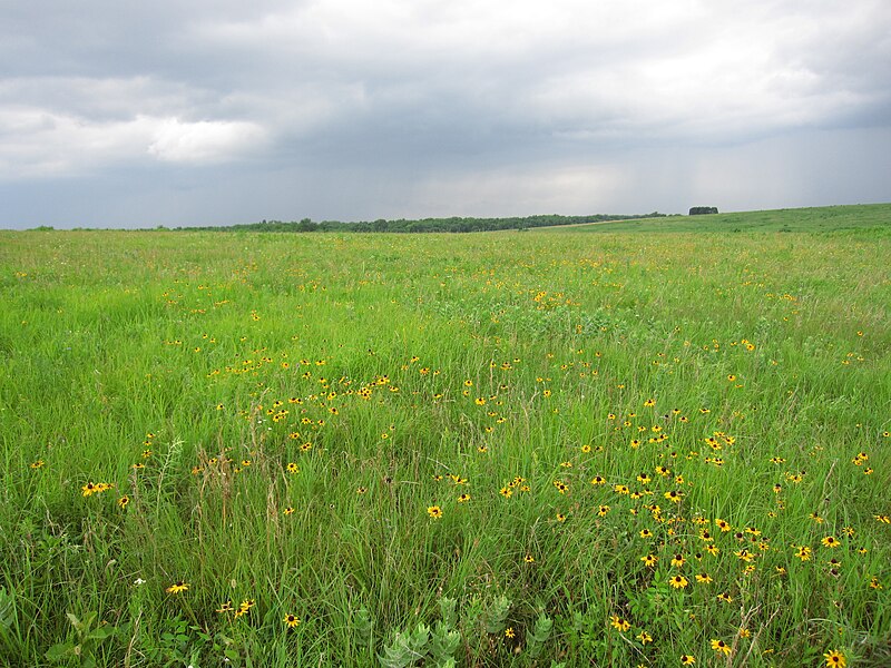 File:Taberville Prairie Conservation Area.jpg