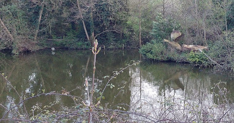 Maiden Erlegh Nature Reserve