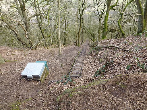The rail incline on Bulkeley Hill (geograph 4878729)