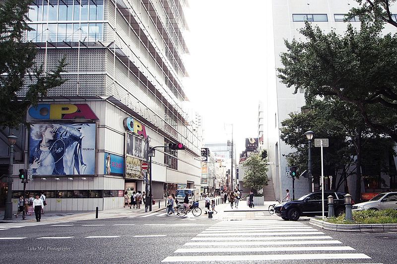 File:The street, Osaka, Japan (8434596128).jpg