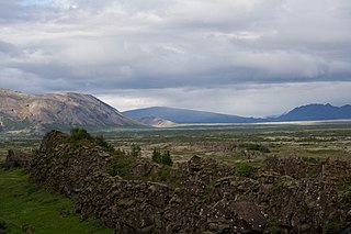 <span class="mw-page-title-main">Iceland boreal birch forests and alpine tundra</span> Ecoregion that covers the island of Iceland