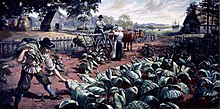 Tobacco farming Tobacco Farming.jpg