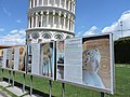Torre di Pisa, Pisa (26678753055).jpg